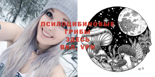 2c-b Верея